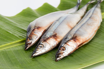 Fresh Japanese Sanma fish on leaf
