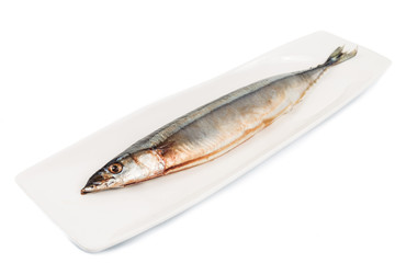 Fresh Japanese Sanma fish on plate