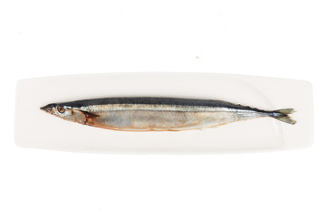 Fresh Japanese Sanma fish on plate