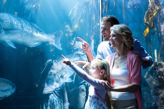 Happy family pointing a fish in the tank 
