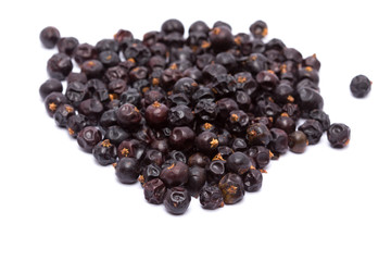 Juniper isolated on white background