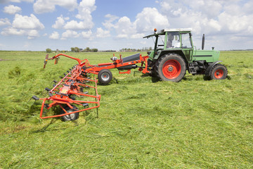 Obraz premium red hay turner in green meadow in the netherlands