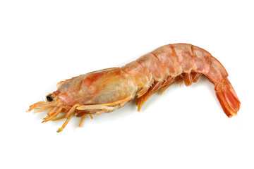 gambas 27052015