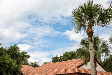 Fototapeta na wymiar Tile Roof Under Tropical Trees