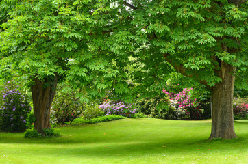 Im Park im Grünen