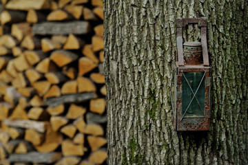 lamp on the tree and firewood
