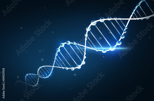 dna molecule project dna molecule project