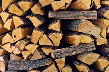 woodpile, chopped tree