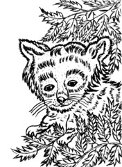 Obraz premium Red Panda Sketch