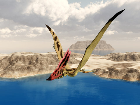 Pterosaur Thalassodromeus