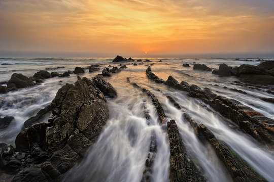 golden barrika