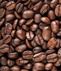 Closeup photo texture of dark coffee beans