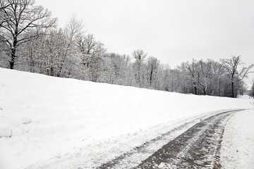 Obraz premium the winter road 