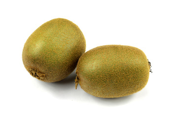 Fototapeta premium kiwi 27052015