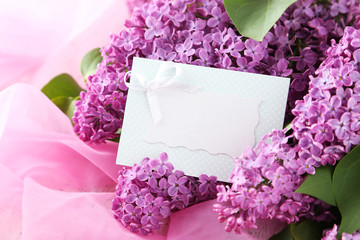 Beautiful lilac flowers on pink cloth background