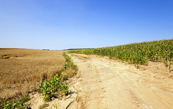 rural road  
