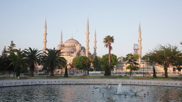 Seagulls bathe in fountain near  Blue mosque in Istanbul 