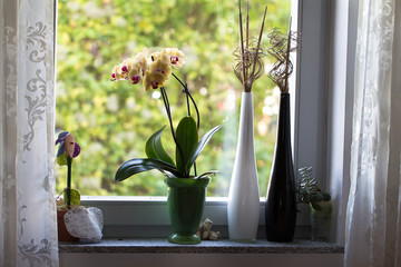 Orchideen und dekorative Vasen auf einem Fensterbrett