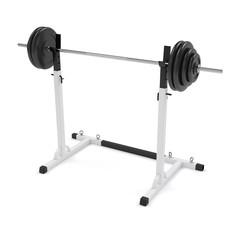 Barbell on the stand