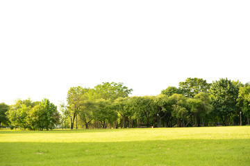 the landscape in the park
