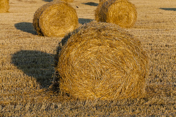 straw stack  