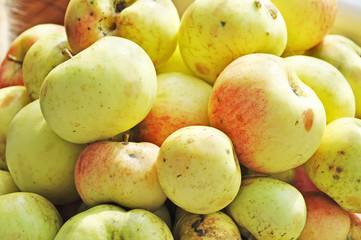 yellow apples background