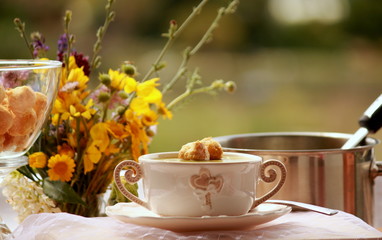 slow food  - vegetarian soup cream of zucchini