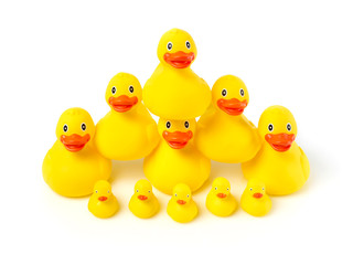 Rubber ducks