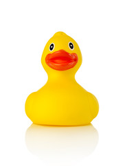 Rubber duck