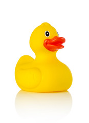 Rubber duck