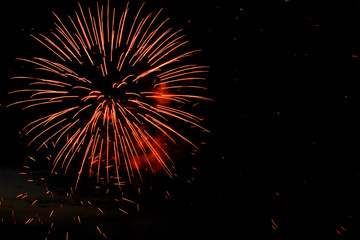 Colorful fireworks on the black sky background