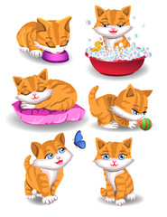 cat doing different activities on a white background