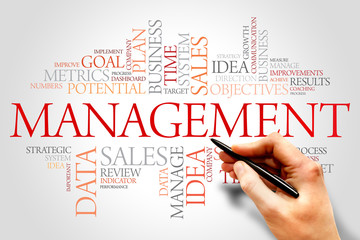 Management word cloud, business concept