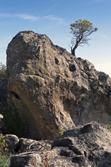 Granito y pinos en el pinar del Concejo. Cadalso de los Vidrios