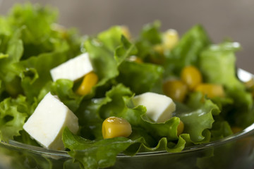 Fresh salad