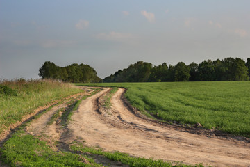 Fototapeta na wymiar Spring farm road along the field