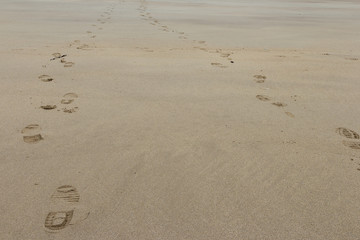 foot prints in the sand at the beach