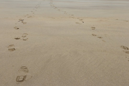 foot prints in the sand at the beach