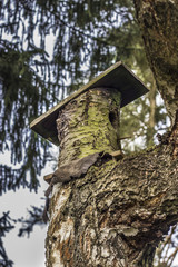 Natural birdhouse