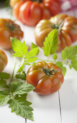 Tomatoes
