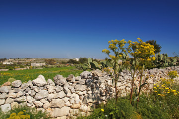 Mur de pierres dans la campagne de Dingli
