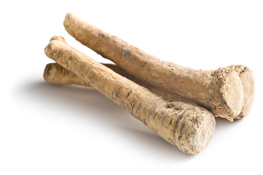 Fresh Horseradish Root