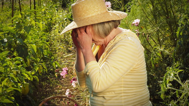 An older woman works hard in the garden on her knees and rubs her neck