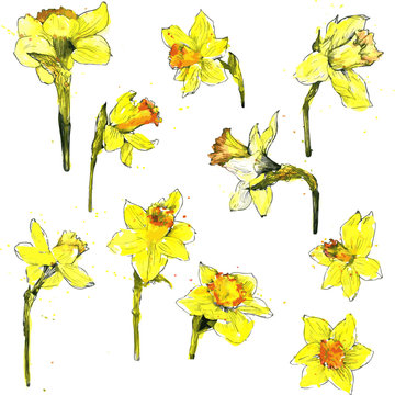 watercolor vector floral set