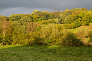 Autumn Fall Fields and Trees, Wales, United Kingdom.