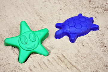 Stern und Schildkröte in einem Sandkasten