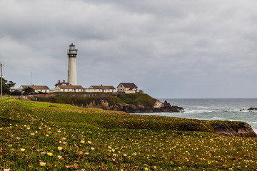 Fototapeta na wymiar Wildflower and the Pigeon Point Lighthouse Station