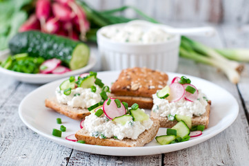 Sandwich with cottage cheese, radish, black pepper and cucumber