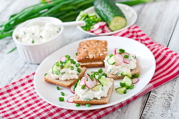 Sandwich with cottage cheese, radish, black pepper and cucumber