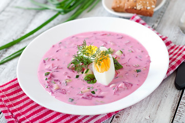 Cold beet soup on yogurt with egg, radishes and cucumbers